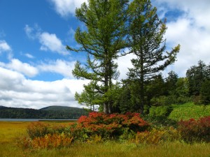 写真は、2014年9月19日の尾瀬沼の様子です。