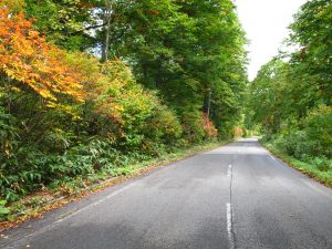 ブナ平の紅葉も少しづつ始まりました。