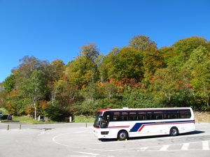 天気も良く紅葉も色濃くなってきました。